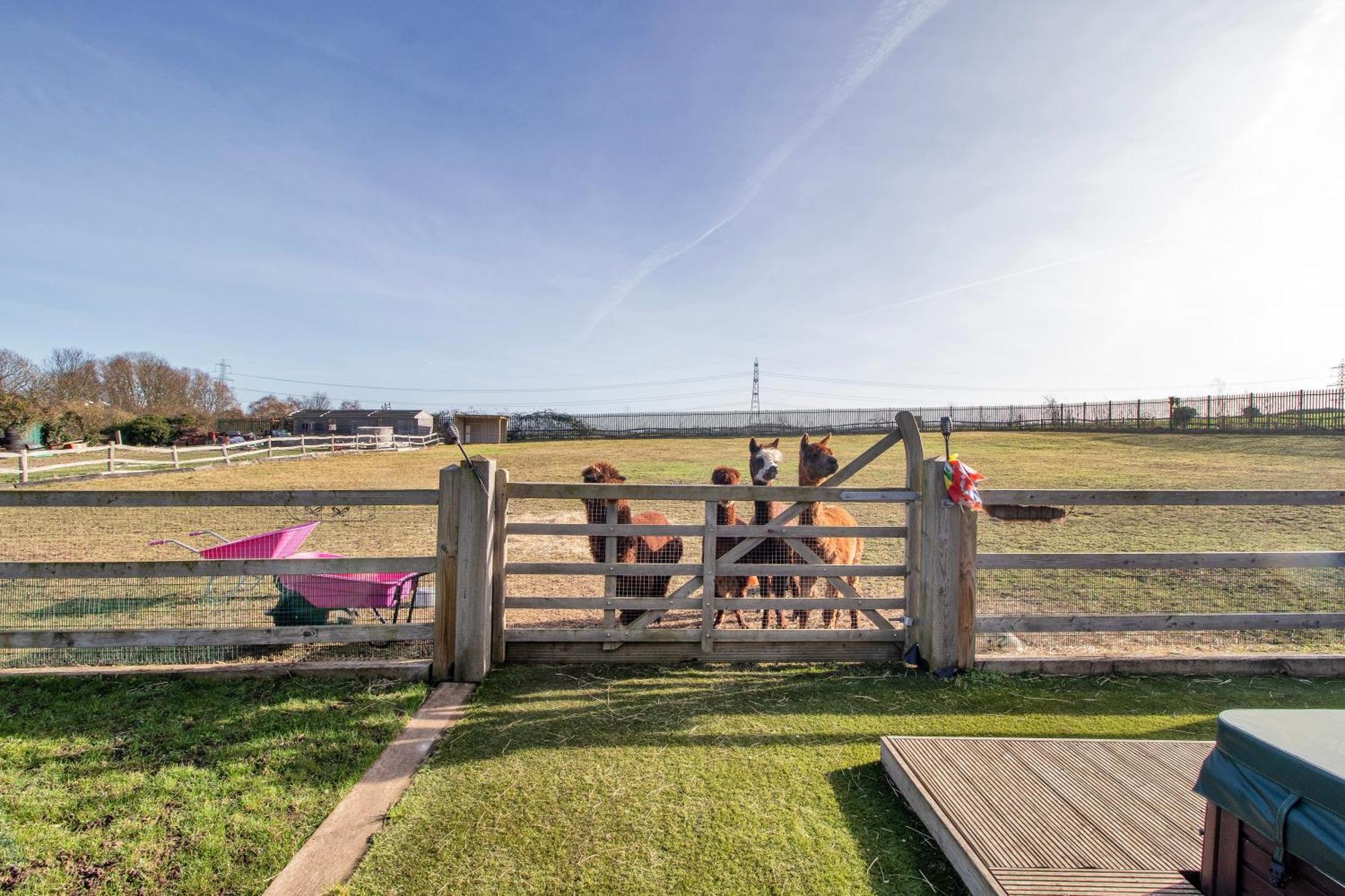 Alpaca House - Sleeps 17 - Diy Hot Tub Villa Gravesend Luaran gambar